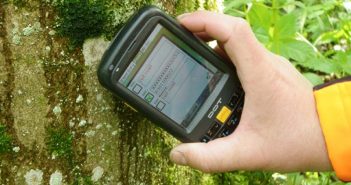 Monitoring mit RFID-Technologie: Den Wald vor lauter Bäumen sehen…