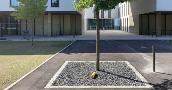 Baum und Boden: Pflegetage gehen in die Tiefe