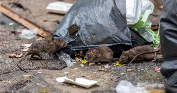 Rattengiftköder: Persönliche Strafen drohen